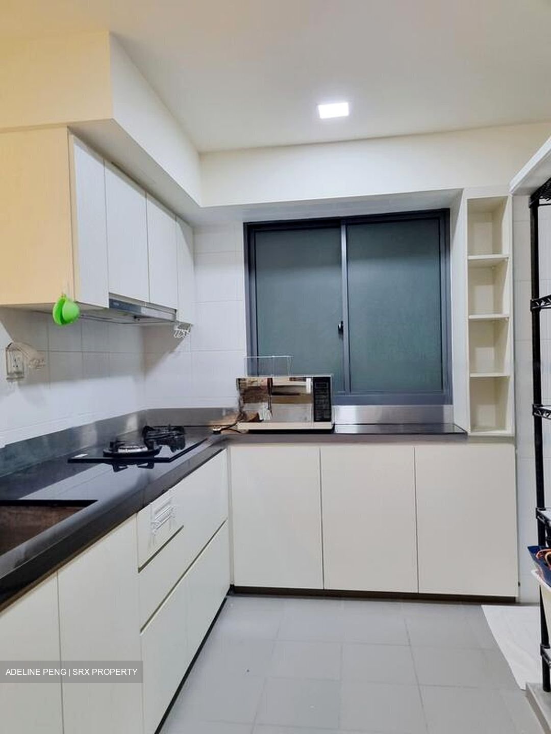 Blk 1 The Pinnacle@Duxton (Bukit Merah), HDB 4 Rooms #457460701